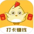小鸡趣玩