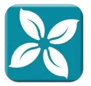 新商盟手机订烟