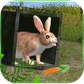 终极兔子模拟器
