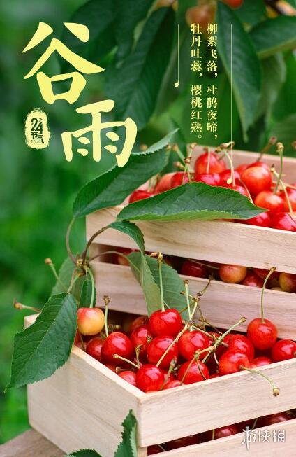 谷雨图片有哪些