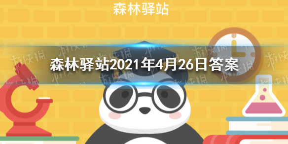  吸血的蚊子是公的还是母的 森林驿站2021年4月26日答案