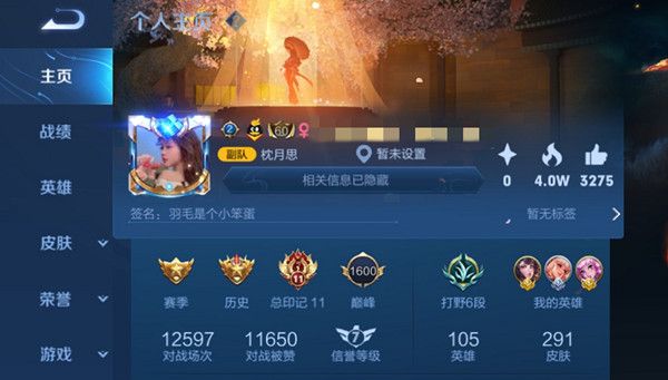  王者荣耀主页四角星是什么意思